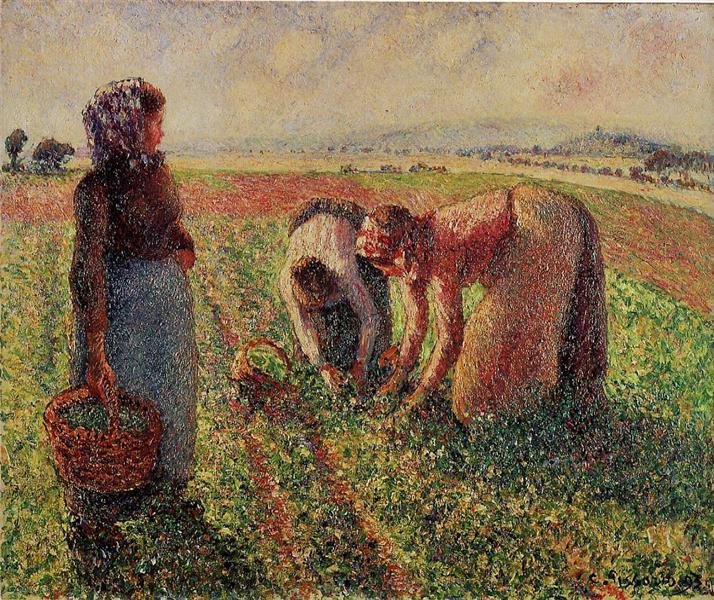 Camille Pissarro. Picking peas. 1893. oil on canvas. Langmaatt Foundation, Switzerland.