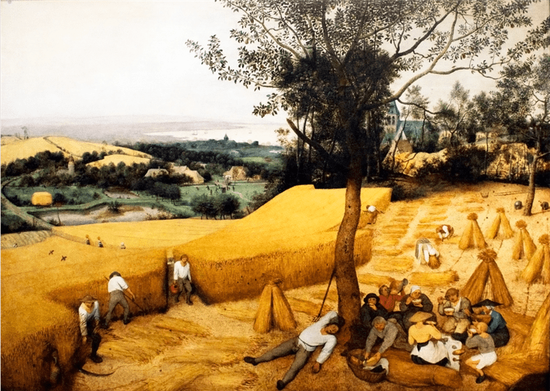 Pieter Bruegel the Elder. The Corn Harvest. 1565