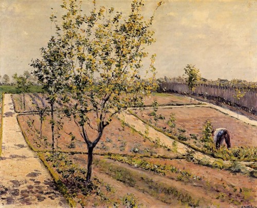 Gustave Caillebotte. Kitchen Garden Petit Gennevilliers. 1882. Oil on canvas. Private collection.